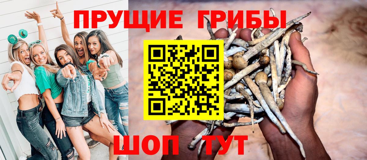 Галлюциногенные грибы GOLDEN TEACHER Находка