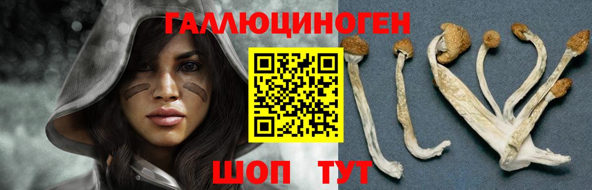 Находка  Галлюциногенные грибы MAGIC MUSHROOMS  Вход с VPN 